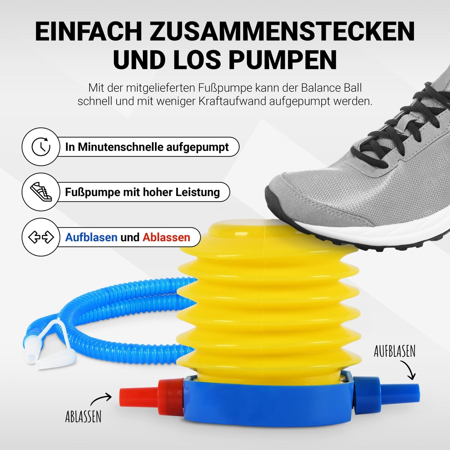 Balance Ball Trainer