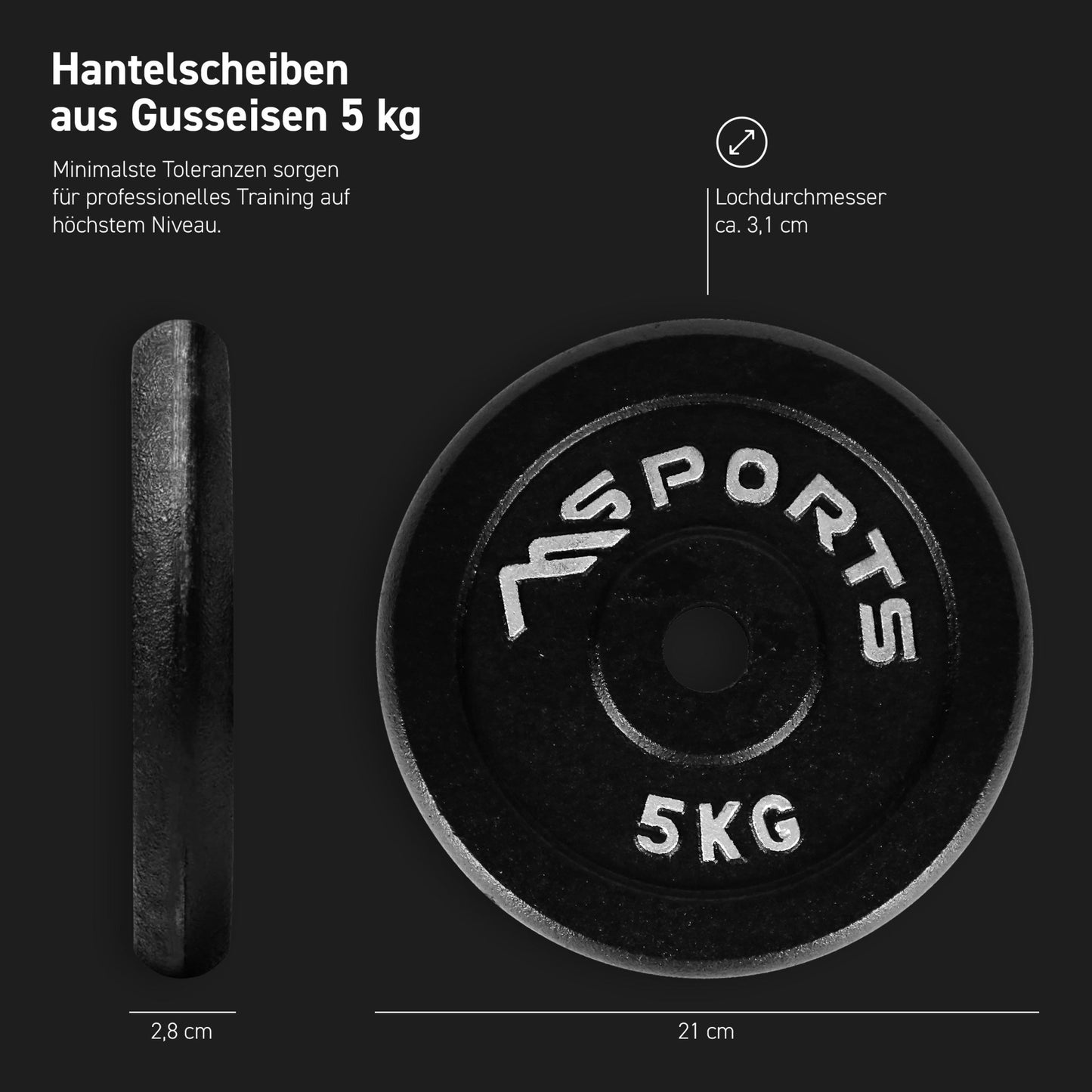 Hantelscheiben Gusseisen