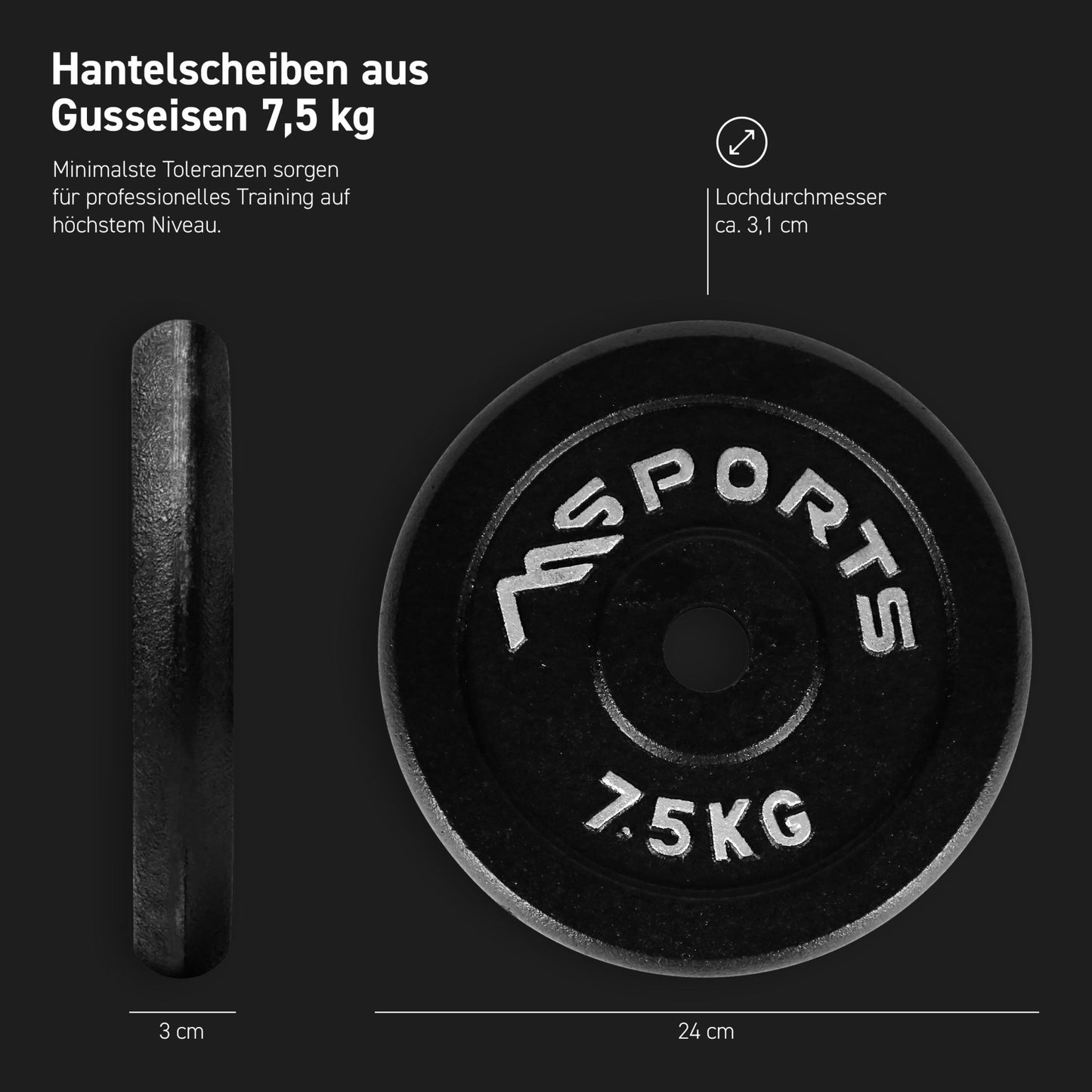 Hantelscheiben Gusseisen