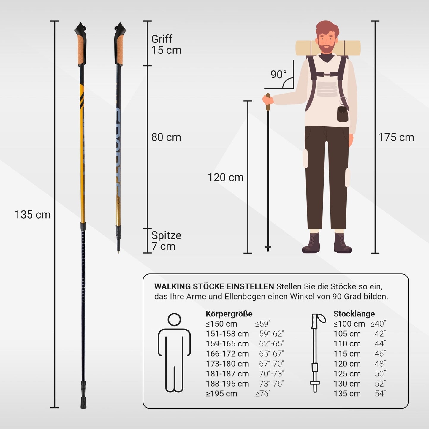 Nordic Walking Stöcke Carbon