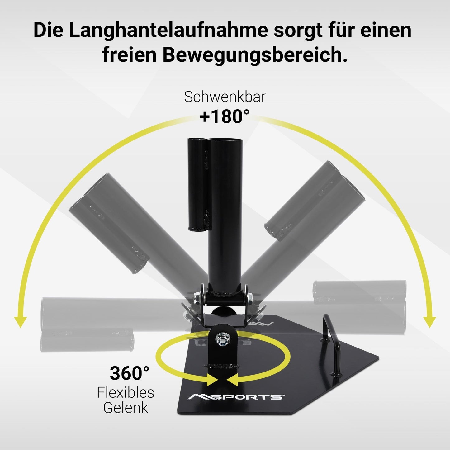 Langhantelaufnahme