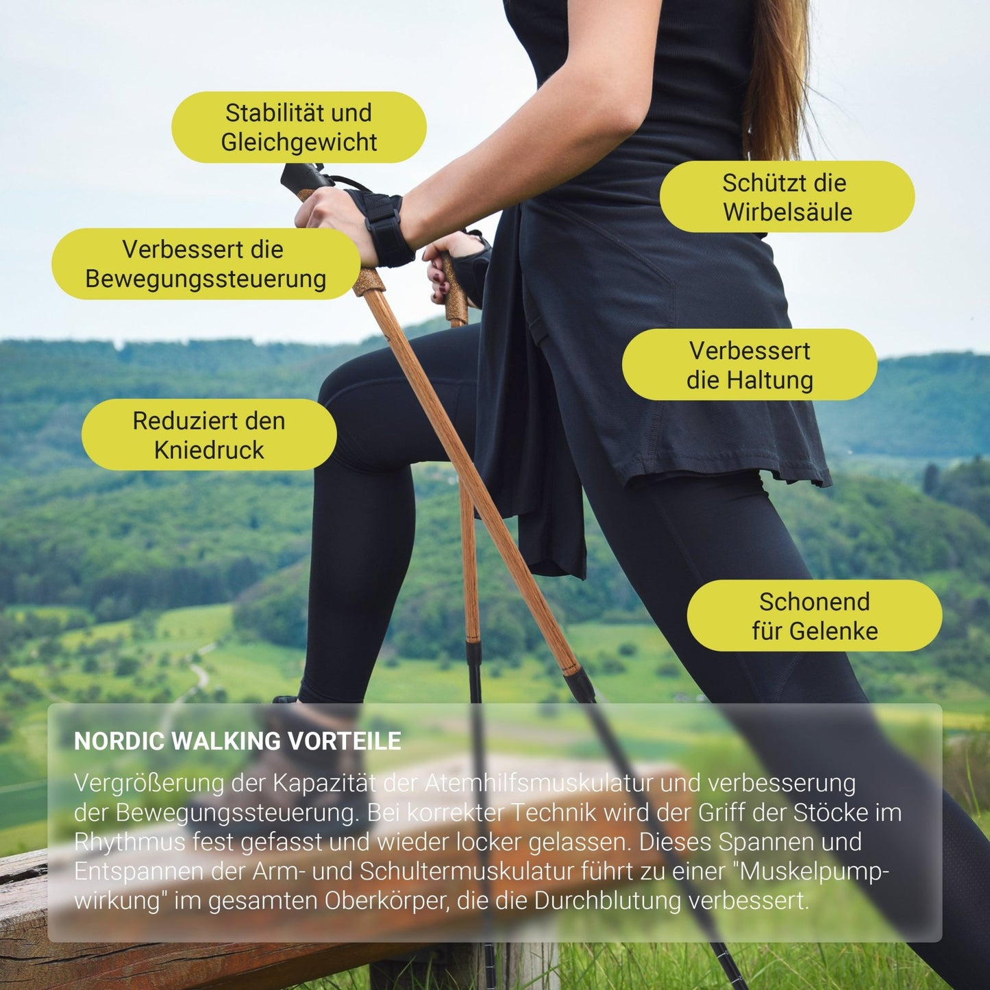 Nordic Walking Stöcke Holz