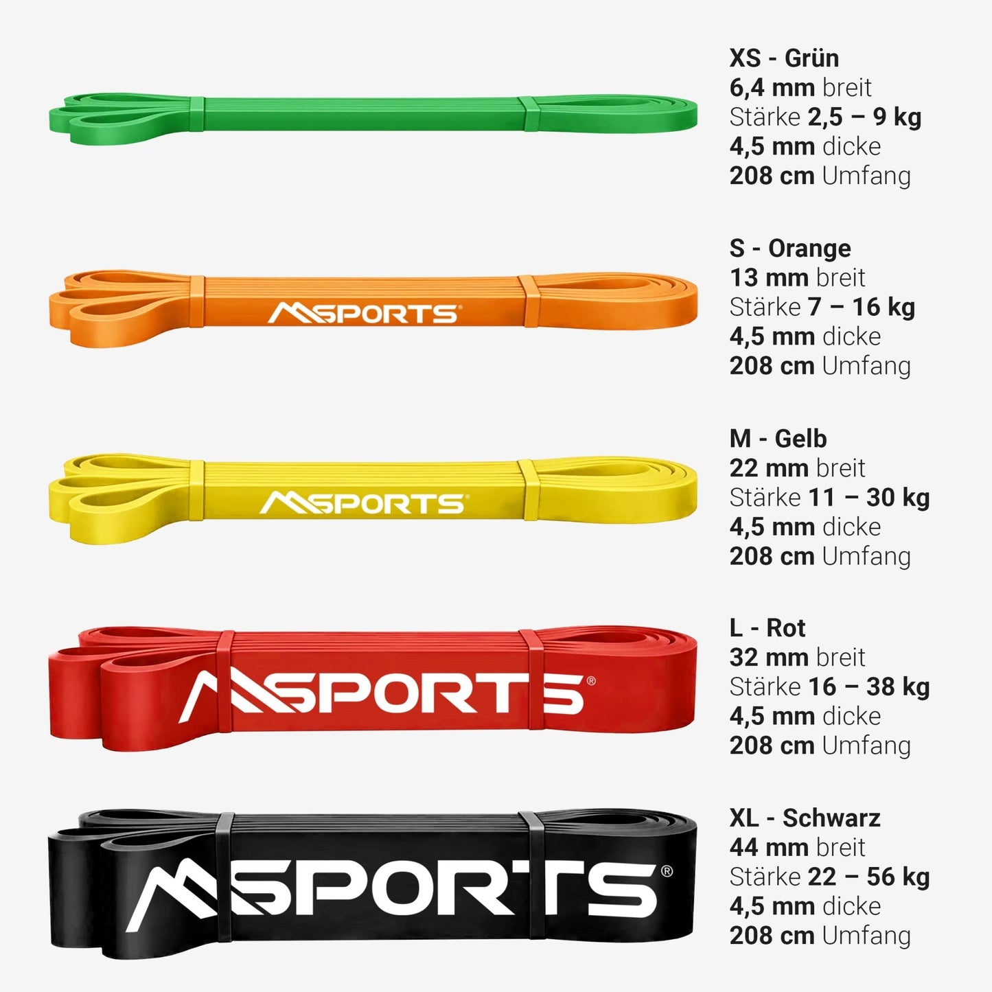 Resistance Band Basic