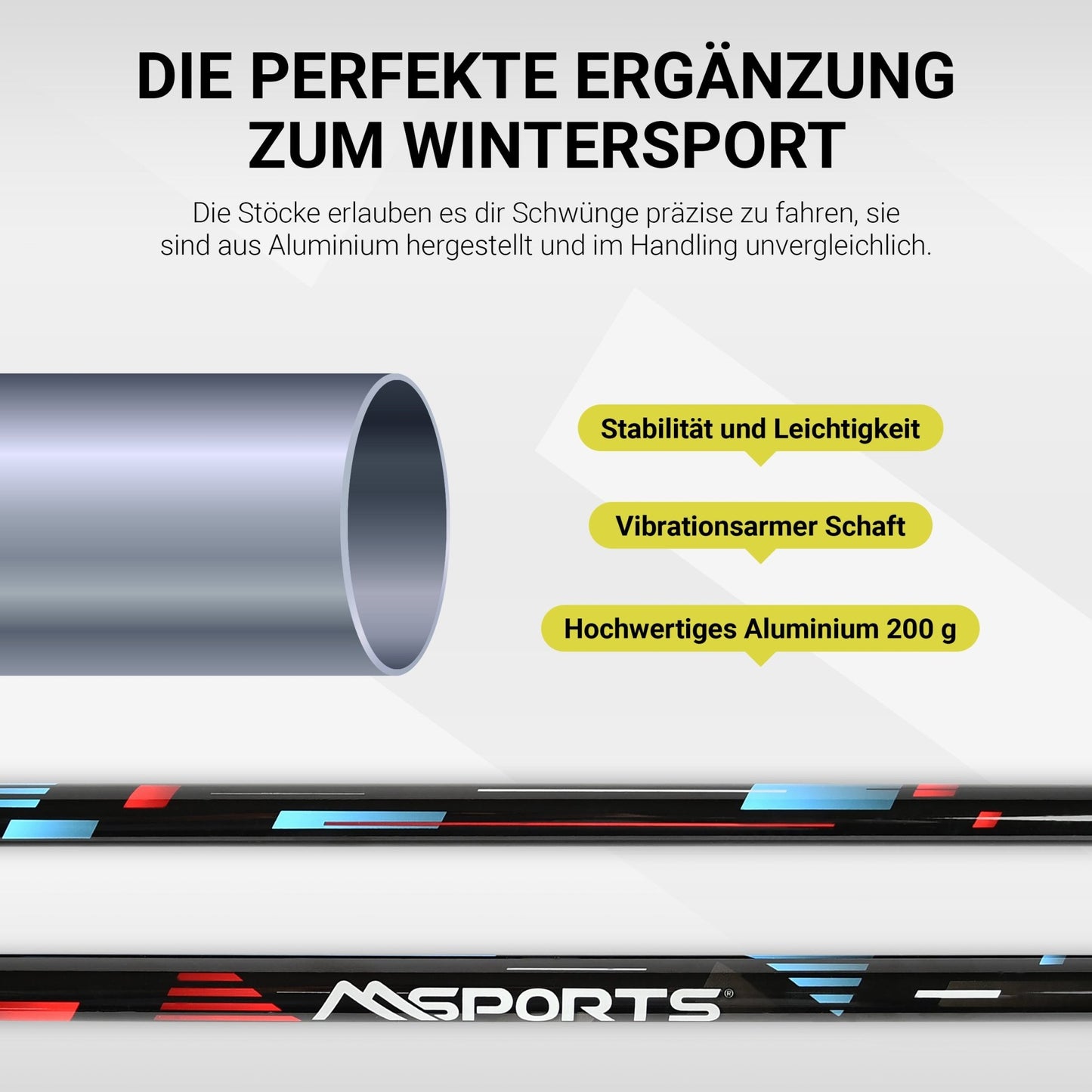 Skistöcke Premium